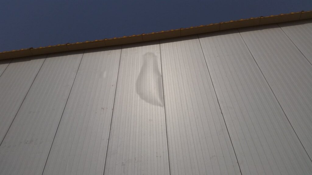 blaasvorming | van heemskerk