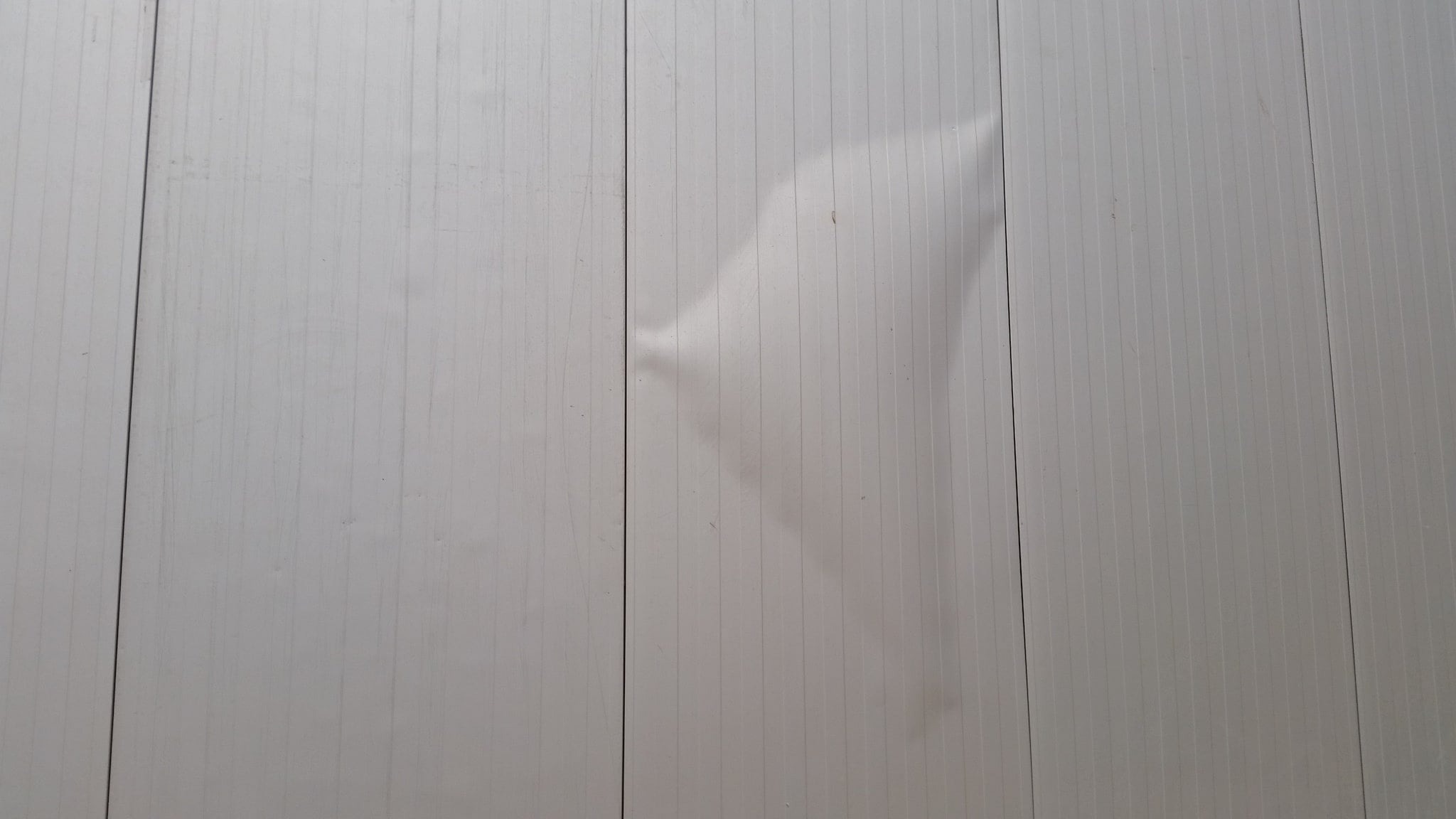 blaasvorming | van heemskerk